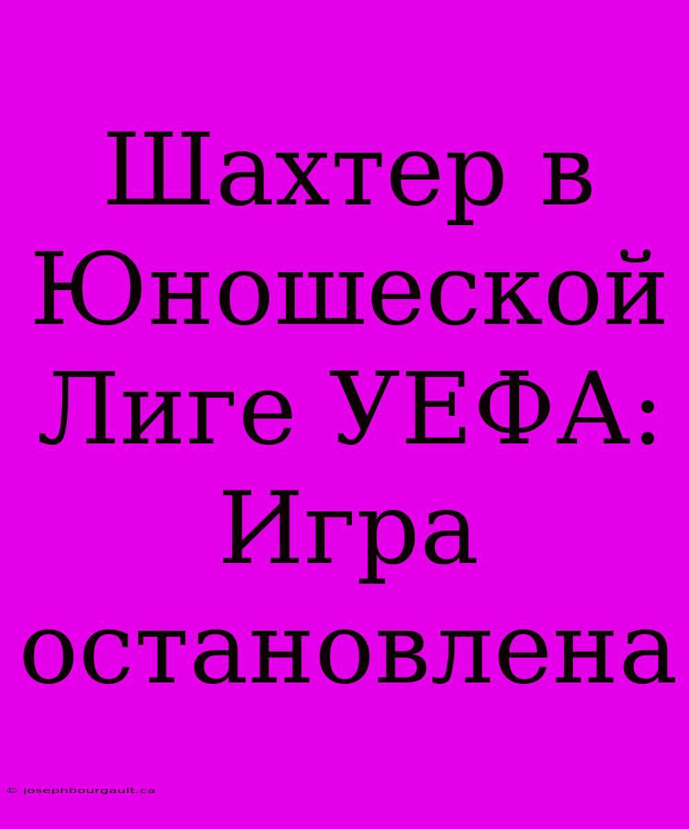 Шахтер В Юношеской Лиге УЕФА: Игра Остановлена