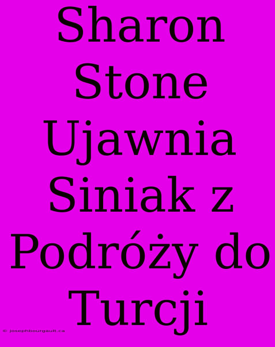 Sharon Stone Ujawnia Siniak Z Podróży Do Turcji