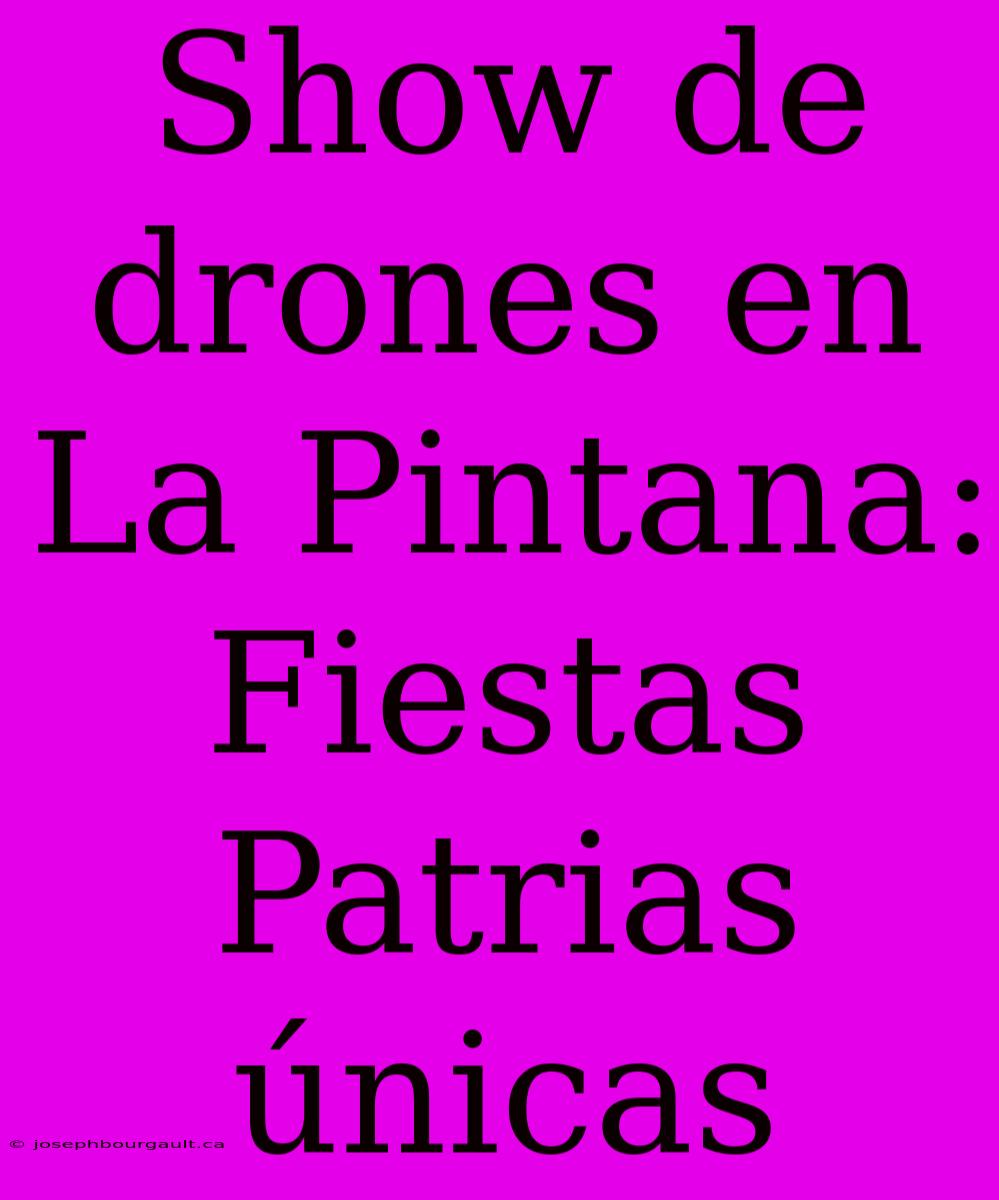 Show De Drones En La Pintana: Fiestas Patrias Únicas