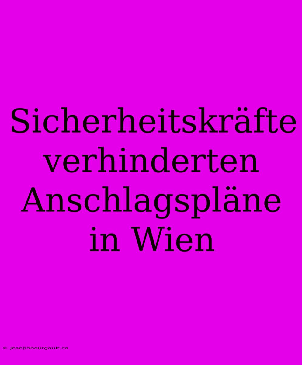 Sicherheitskräfte Verhinderten Anschlagspläne In Wien