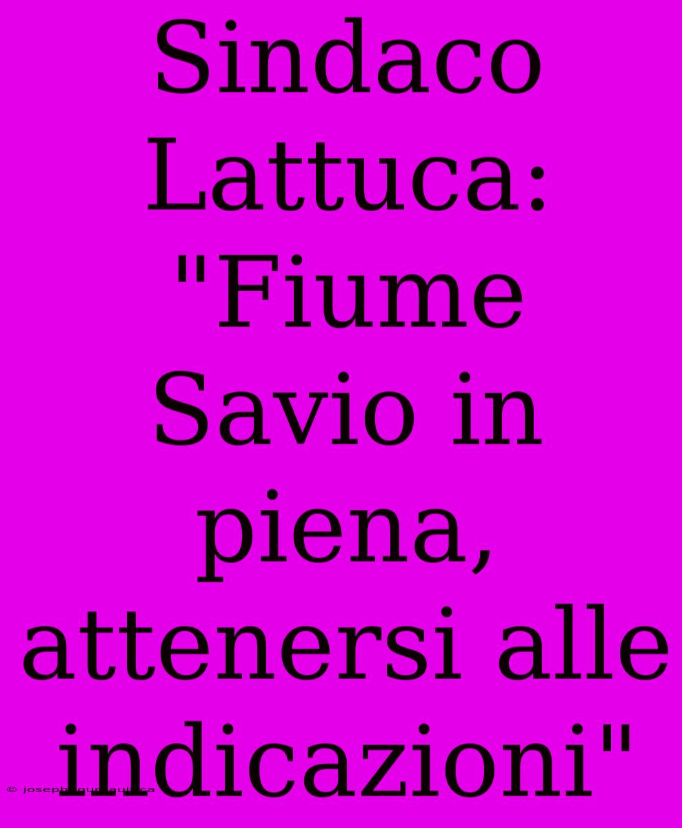 Sindaco Lattuca: 