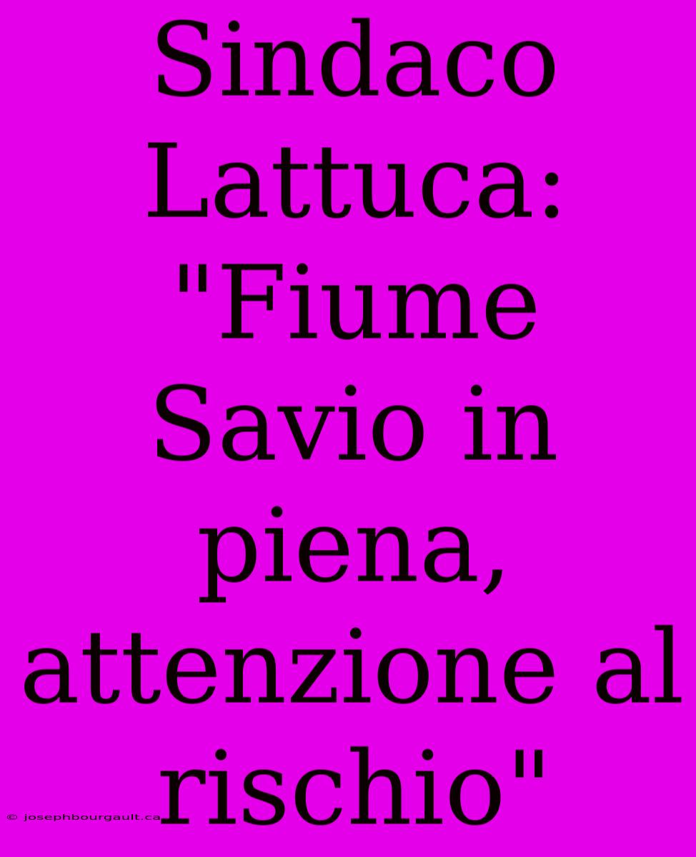 Sindaco Lattuca: 