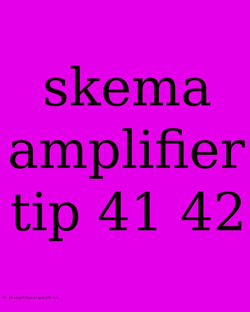 Skema Amplifier Tip 41 42