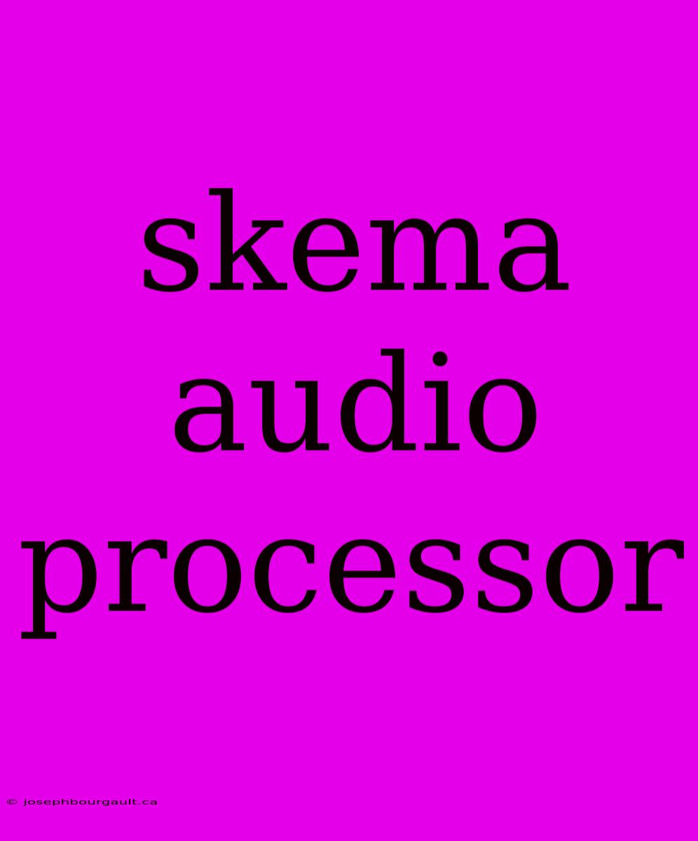 Skema Audio Processor