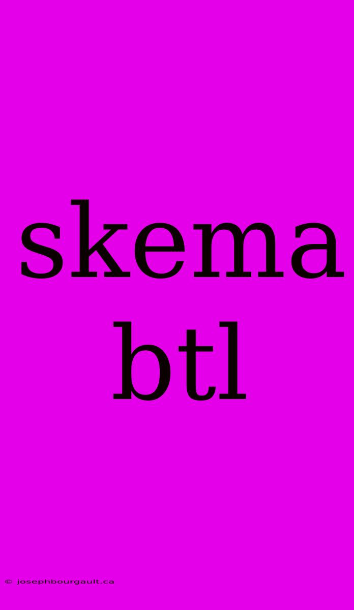 Skema Btl