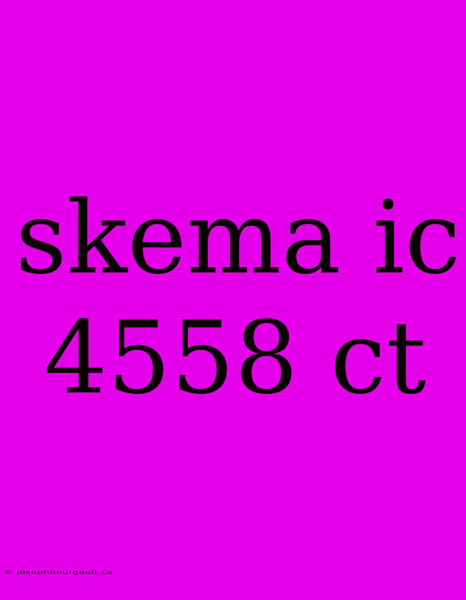 Skema Ic 4558 Ct