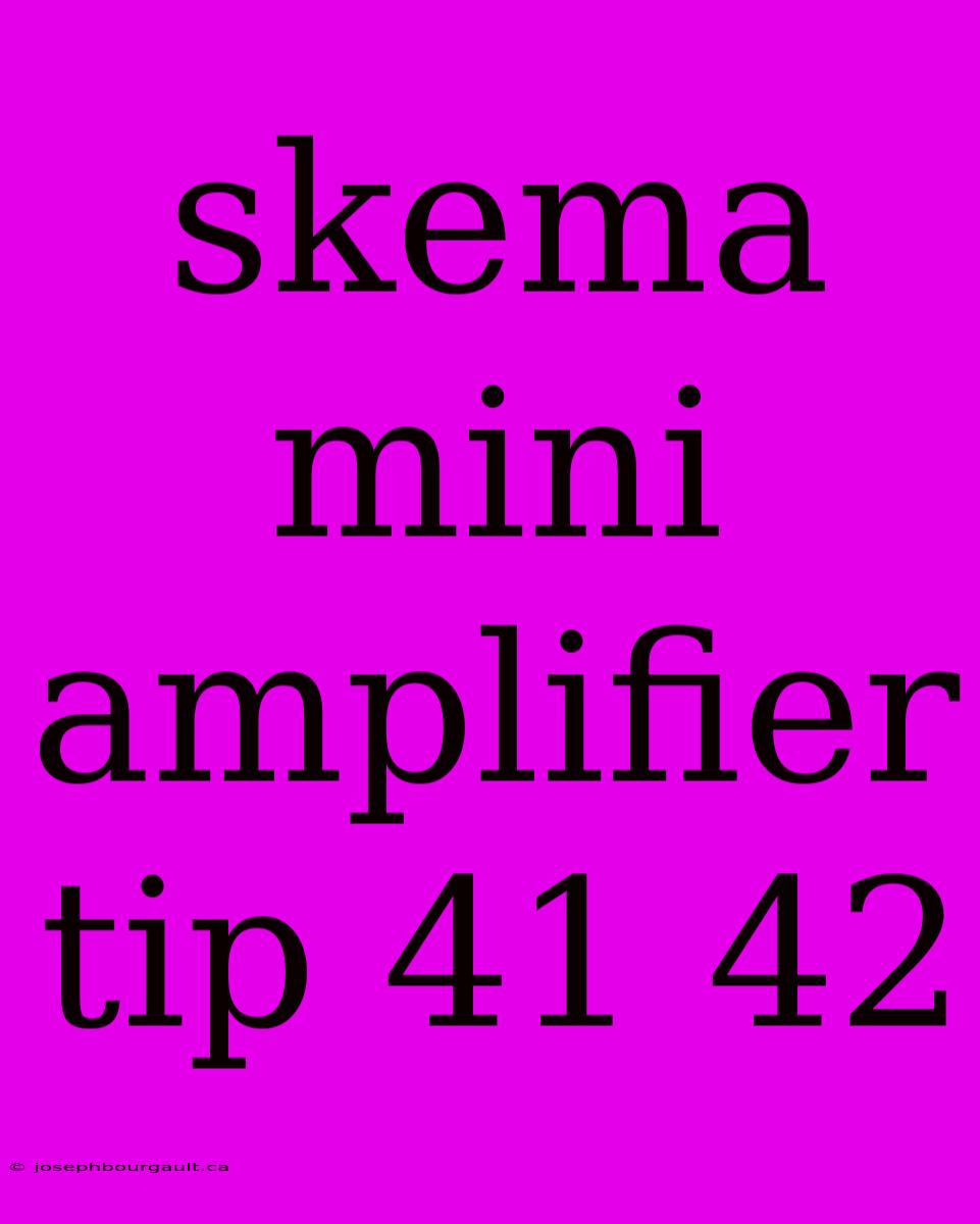 Skema Mini Amplifier Tip 41 42