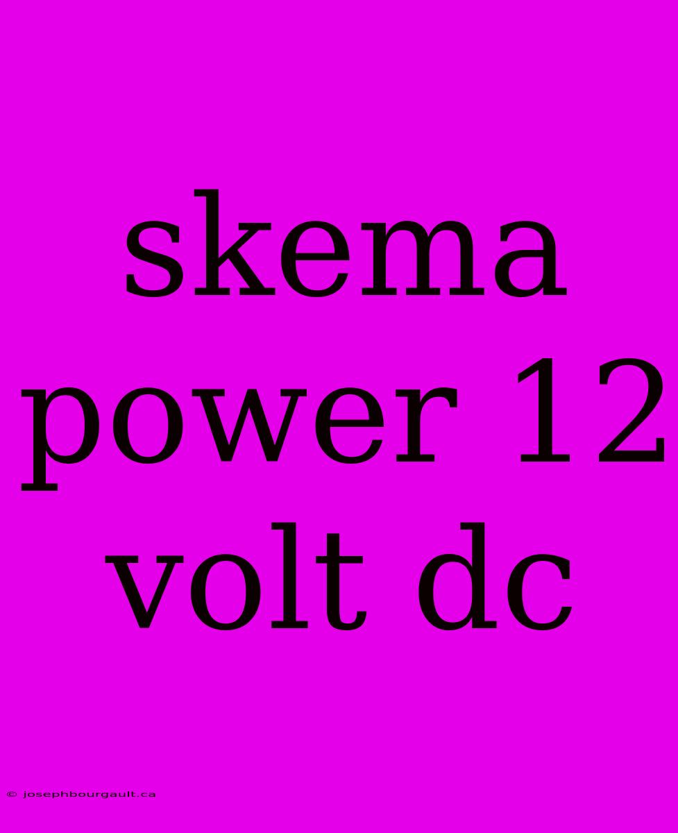 Skema Power 12 Volt Dc