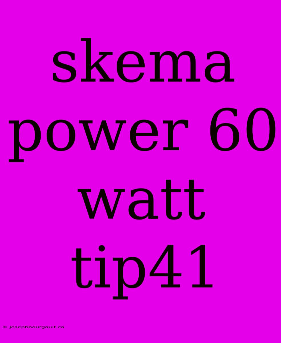 Skema Power 60 Watt Tip41