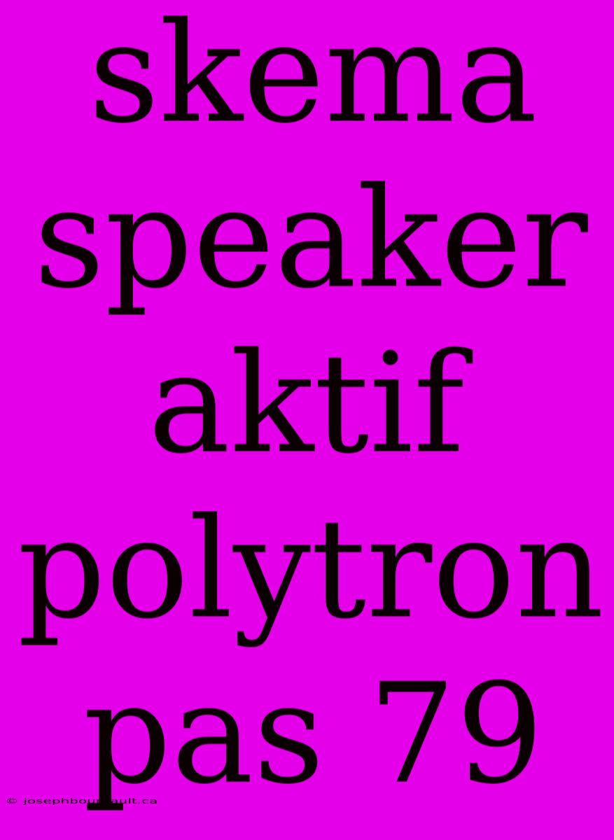 Skema Speaker Aktif Polytron Pas 79