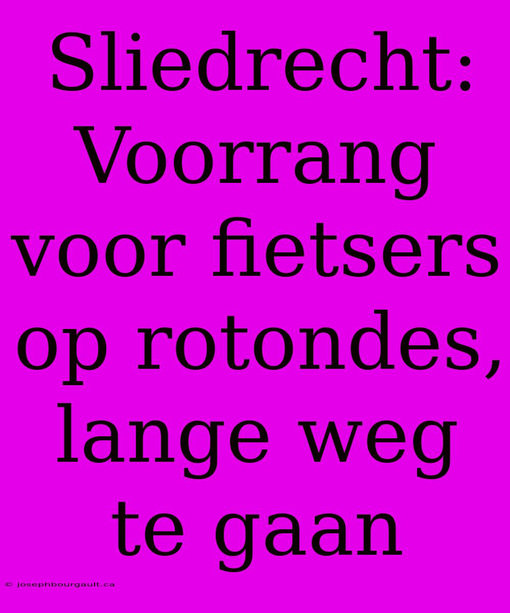 Sliedrecht: Voorrang Voor Fietsers Op Rotondes, Lange Weg Te Gaan