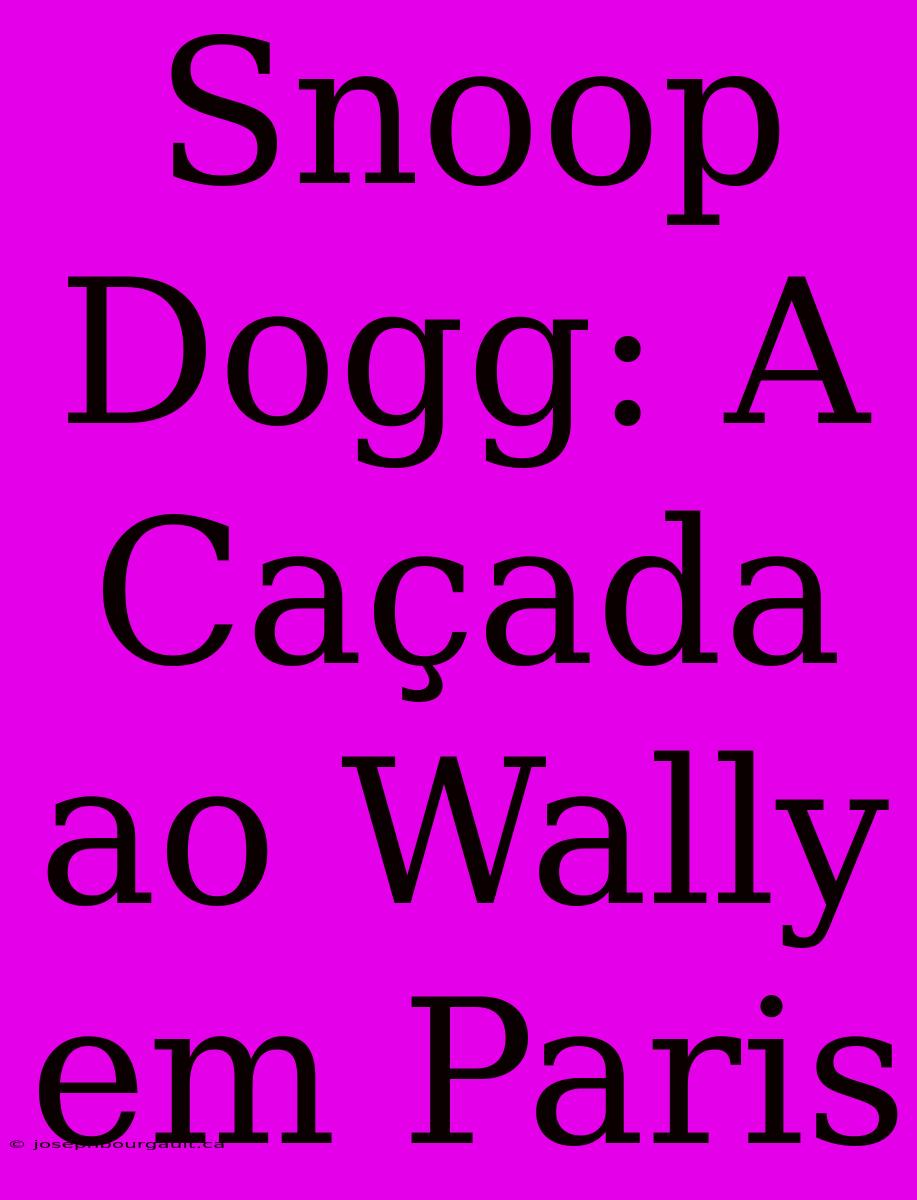 Snoop Dogg: A Caçada Ao Wally Em Paris