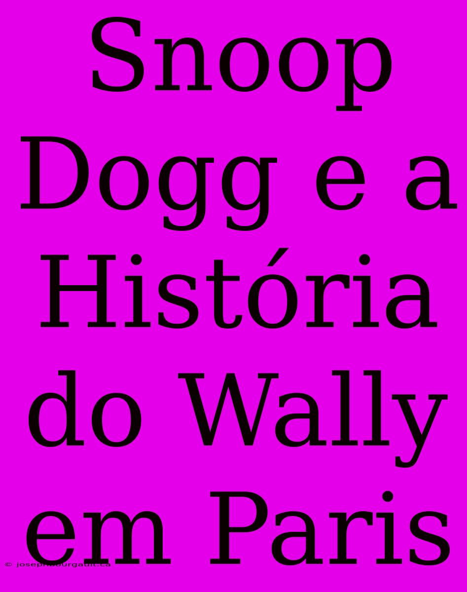 Snoop Dogg E A História Do Wally Em Paris