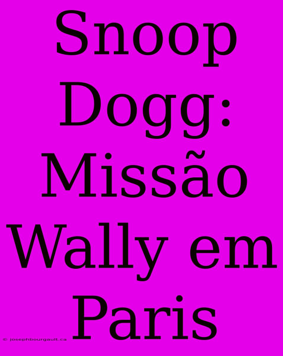 Snoop Dogg: Missão Wally Em Paris