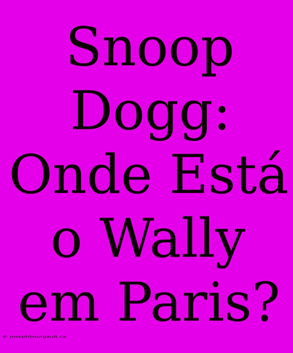 Snoop Dogg: Onde Está O Wally Em Paris?