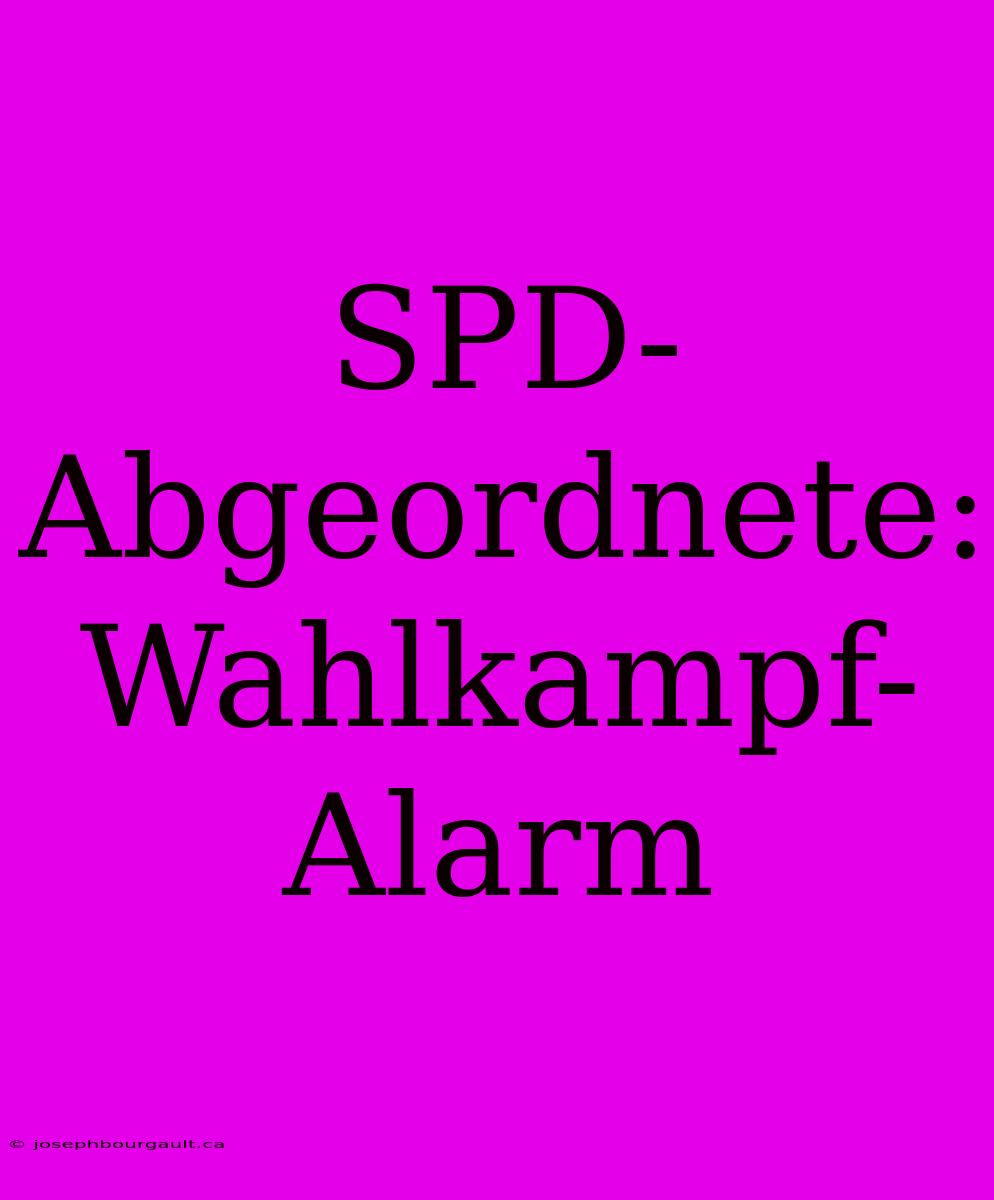 SPD-Abgeordnete: Wahlkampf-Alarm