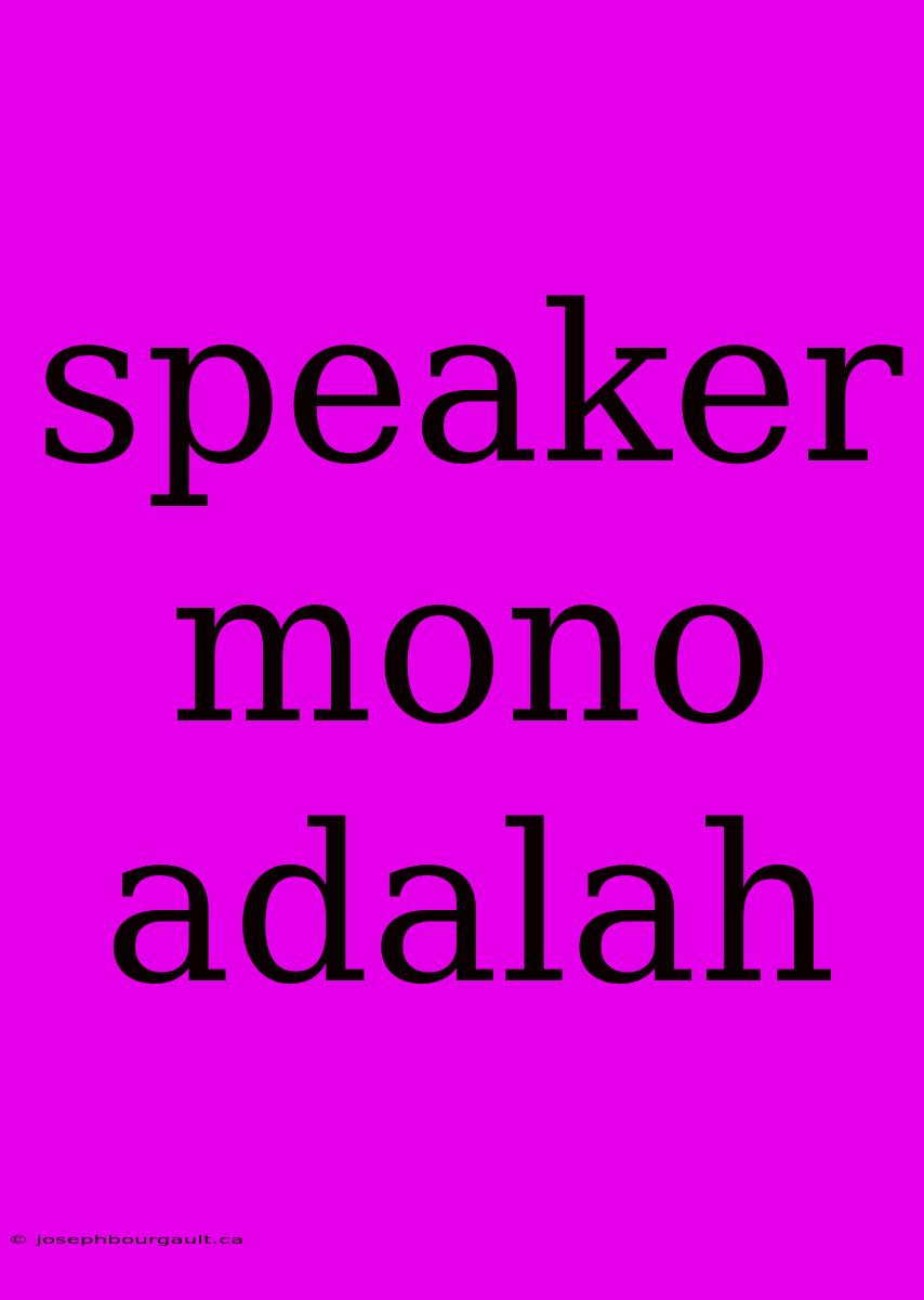 Speaker Mono Adalah