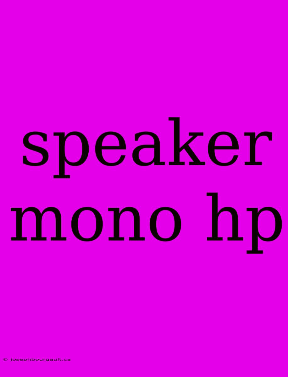 Speaker Mono Hp