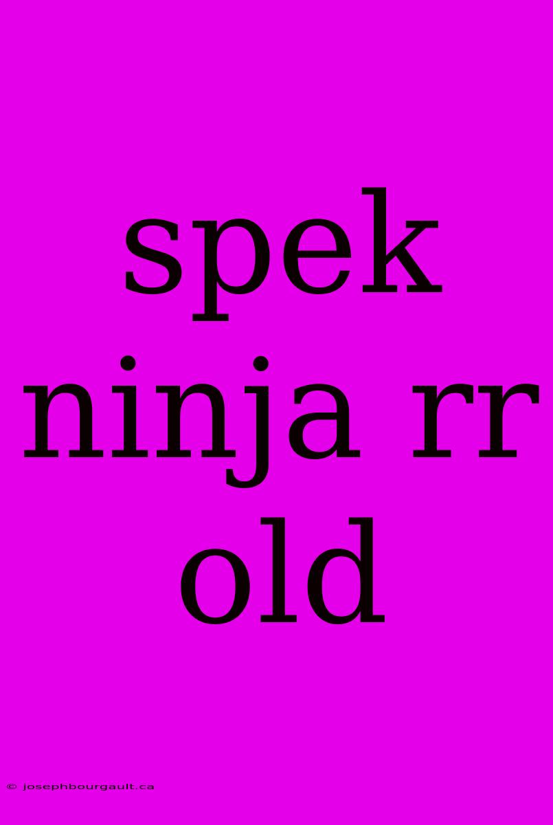 Spek Ninja Rr Old