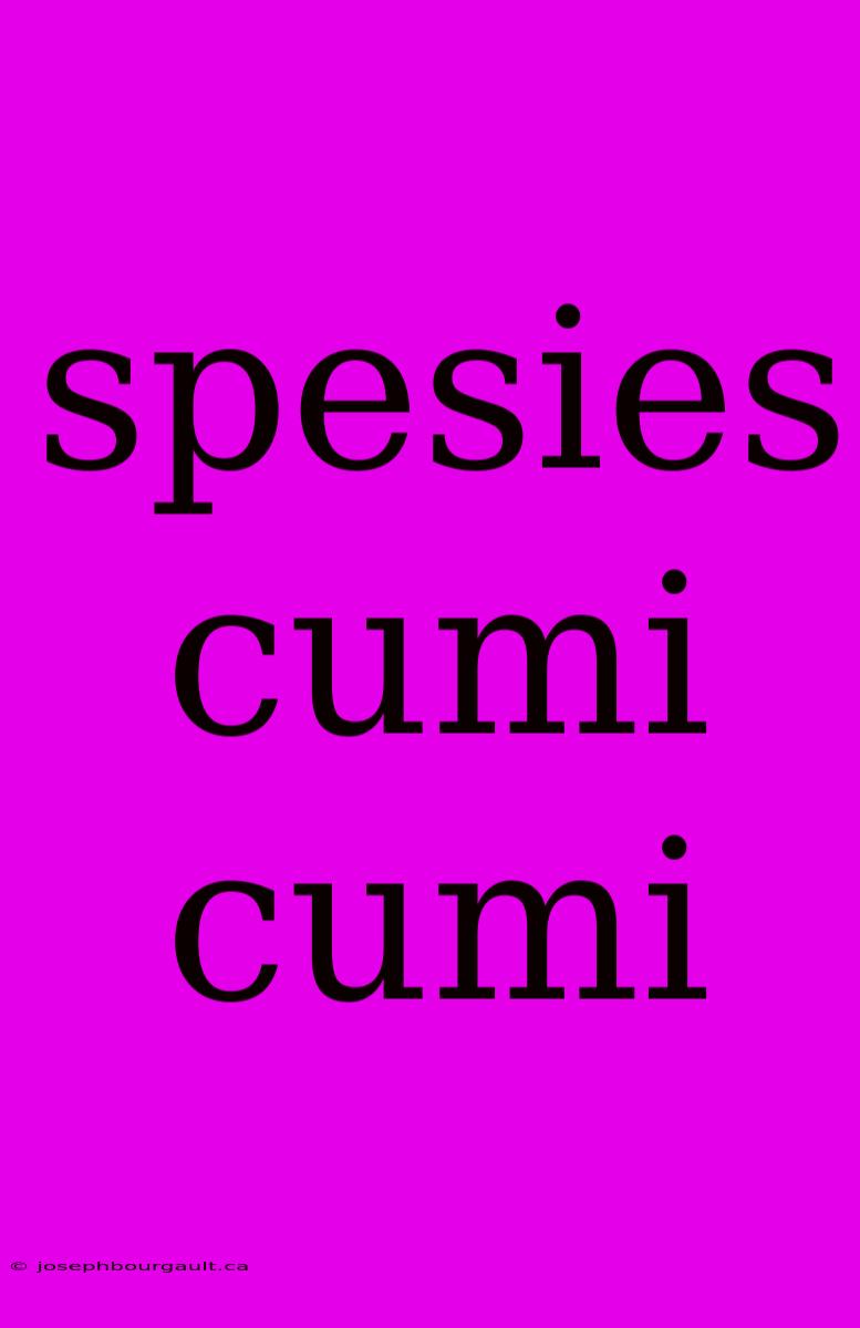 Spesies Cumi Cumi