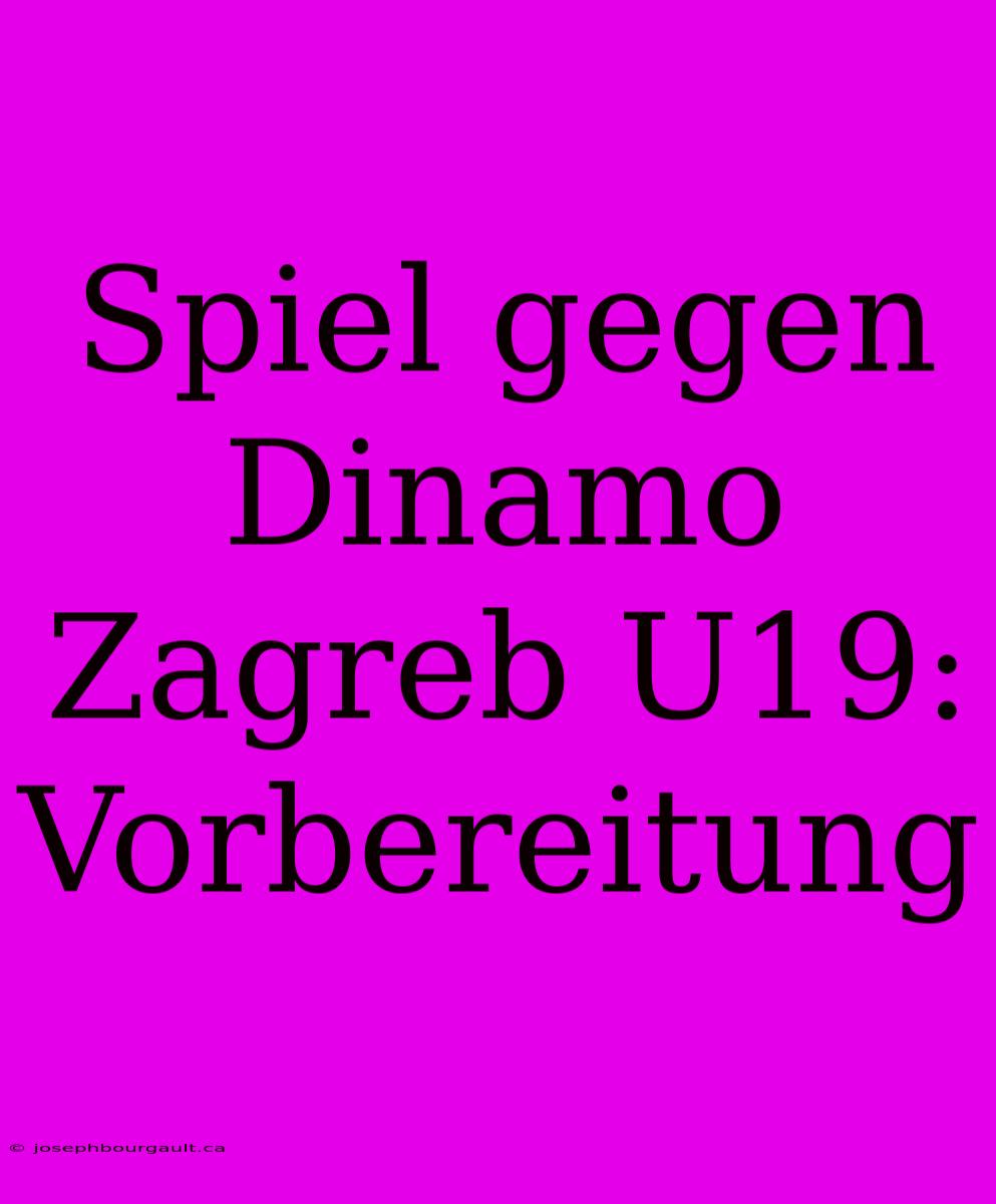 Spiel Gegen Dinamo Zagreb U19: Vorbereitung