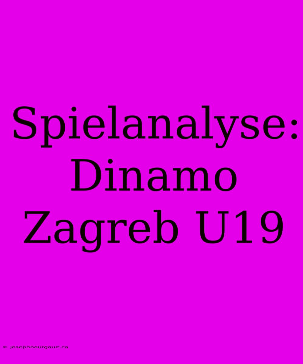 Spielanalyse: Dinamo Zagreb U19