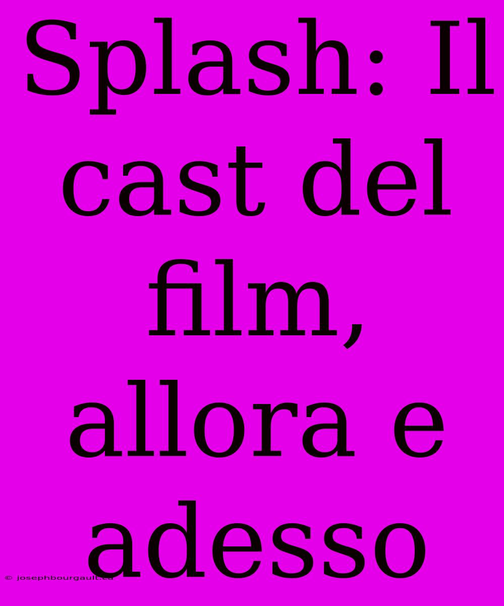 Splash: Il Cast Del Film, Allora E Adesso