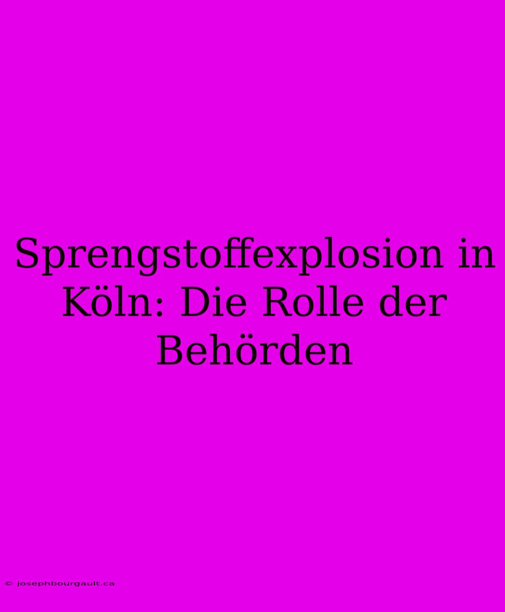 Sprengstoffexplosion In Köln: Die Rolle Der Behörden