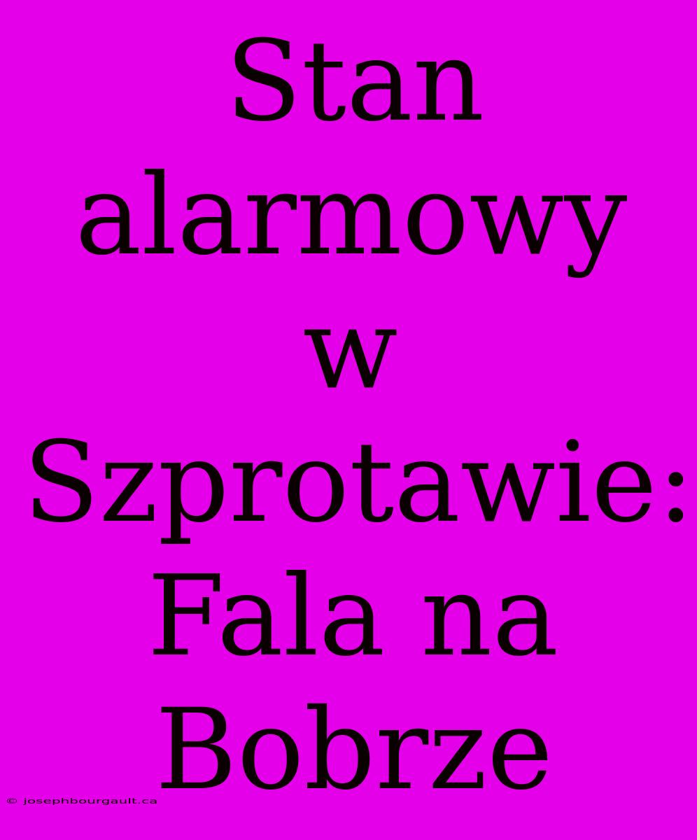 Stan Alarmowy W Szprotawie: Fala Na Bobrze