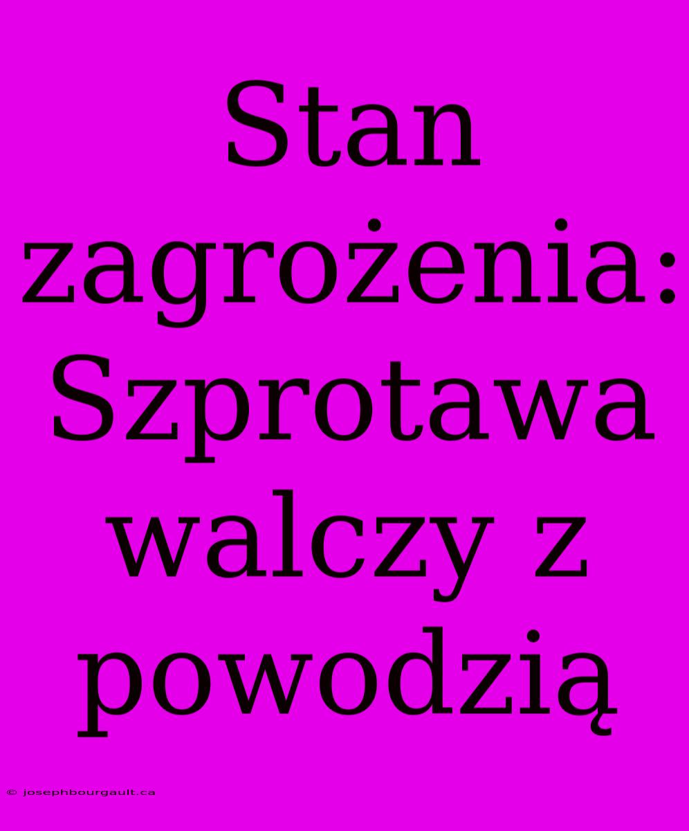 Stan Zagrożenia: Szprotawa Walczy Z Powodzią