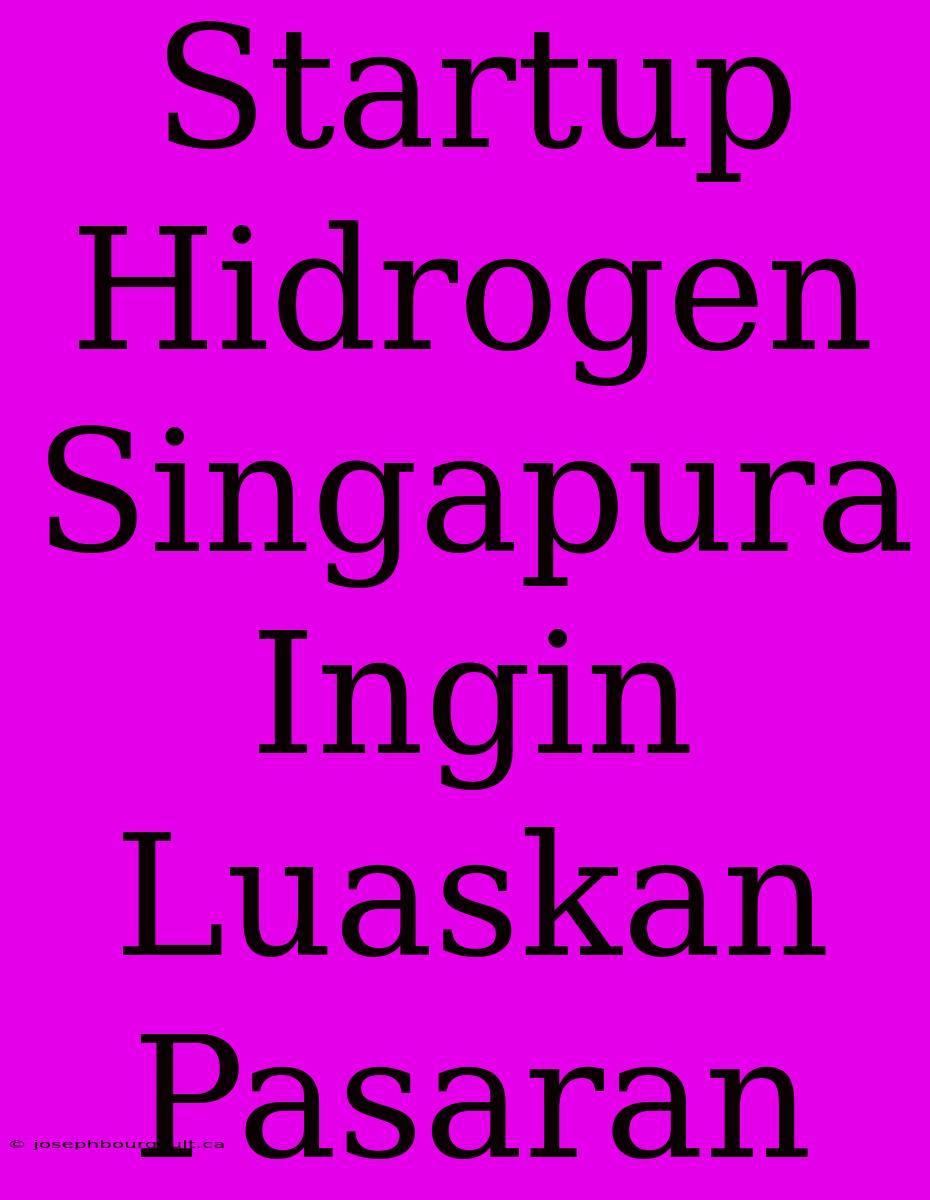 Startup Hidrogen Singapura Ingin Luaskan Pasaran