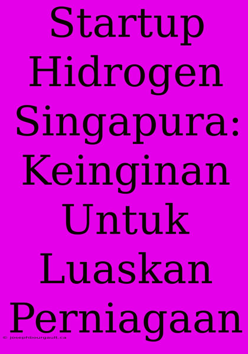 Startup Hidrogen Singapura: Keinginan Untuk Luaskan Perniagaan