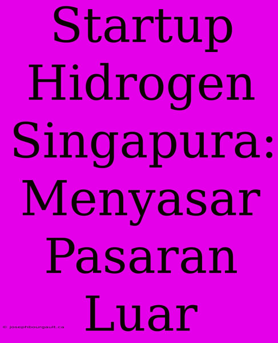 Startup Hidrogen Singapura: Menyasar Pasaran Luar