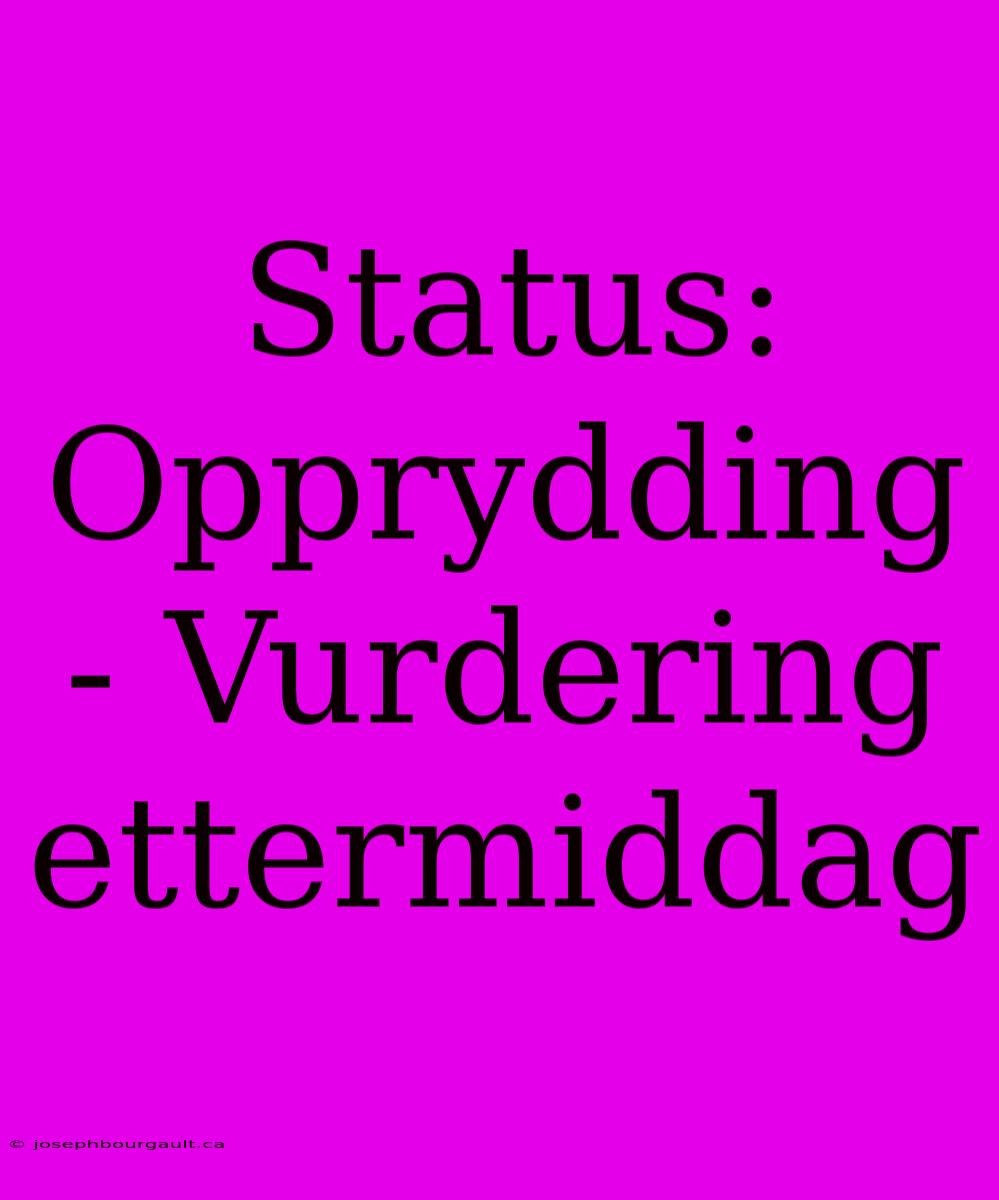 Status: Opprydding - Vurdering Ettermiddag