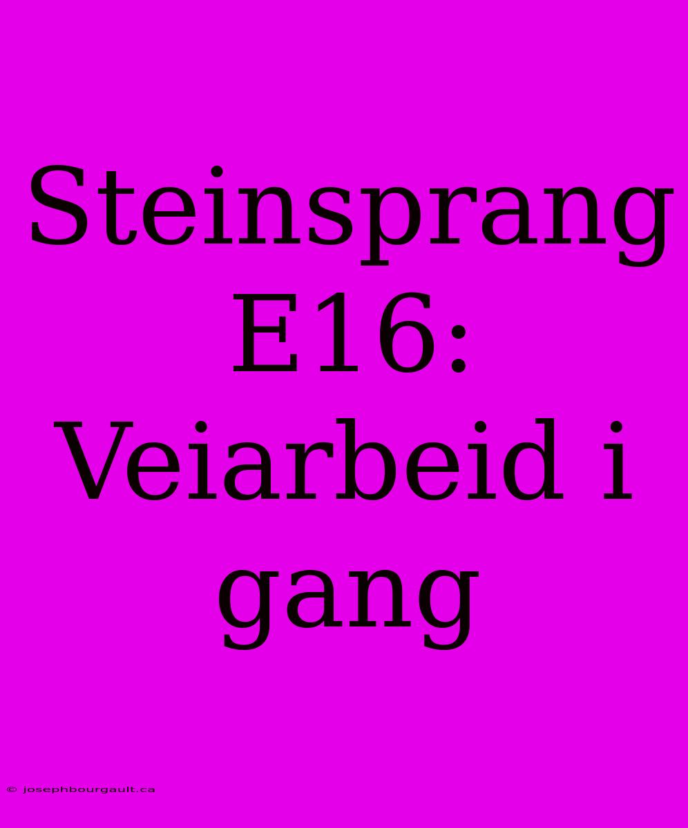 Steinsprang E16: Veiarbeid I Gang