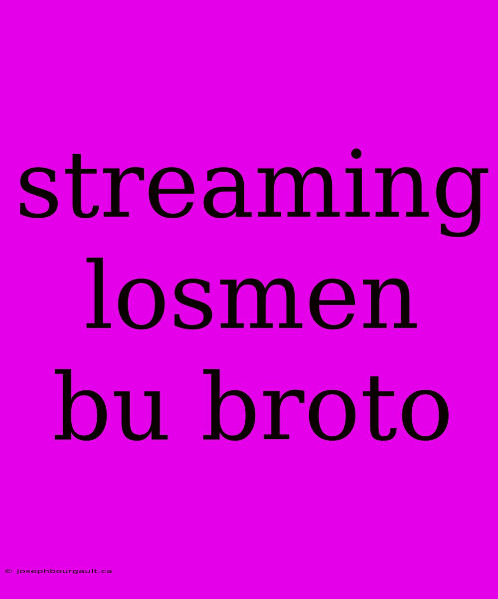 Streaming Losmen Bu Broto