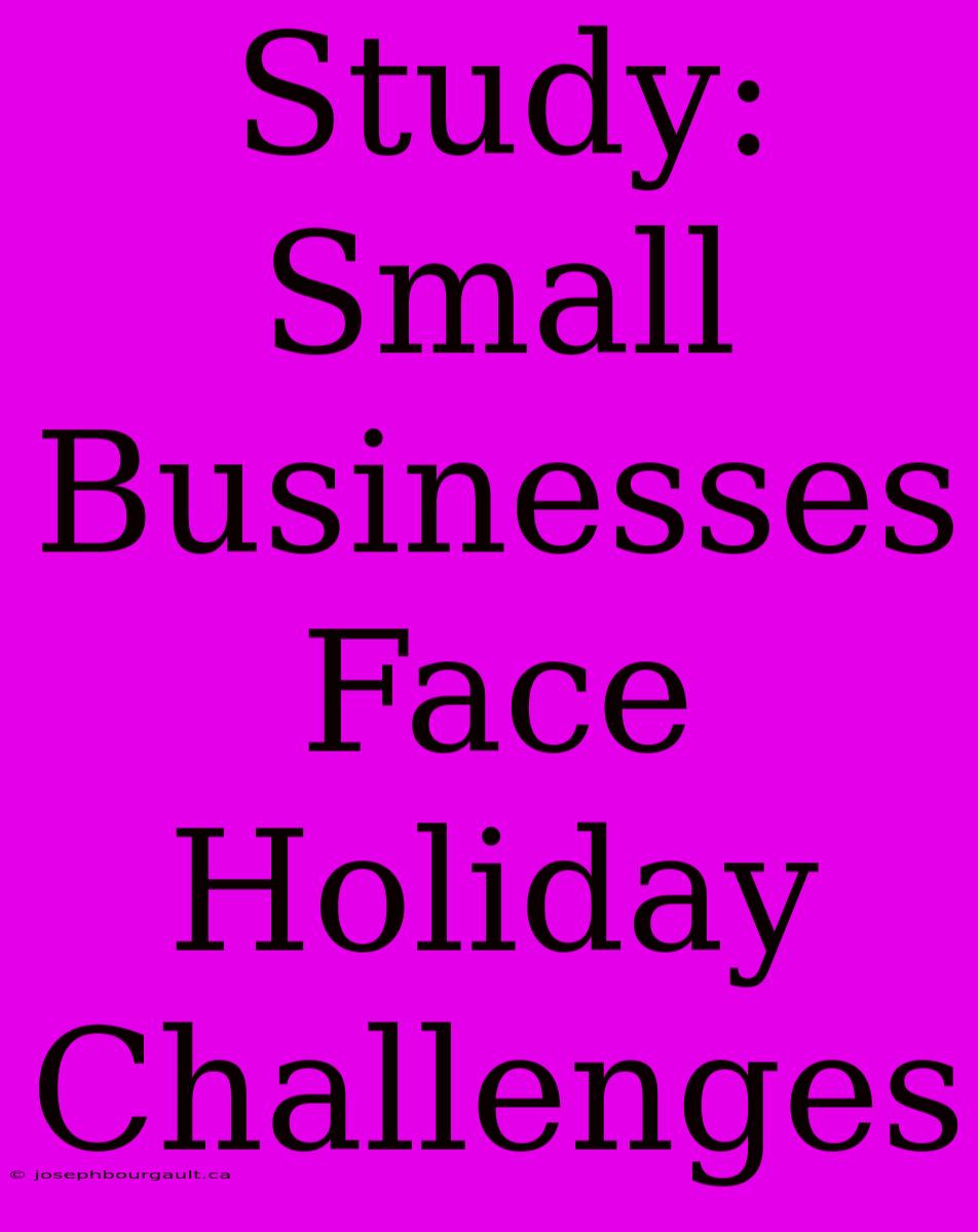 Study: Small Businesses Face Holiday Challenges