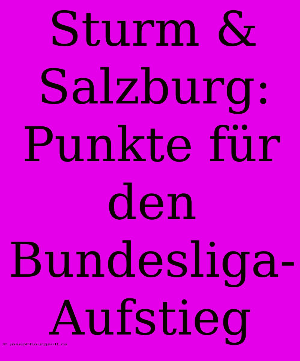 Sturm & Salzburg: Punkte Für Den Bundesliga-Aufstieg