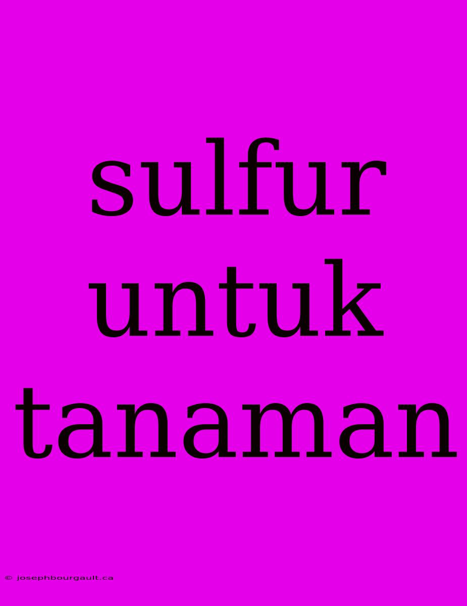 Sulfur Untuk Tanaman