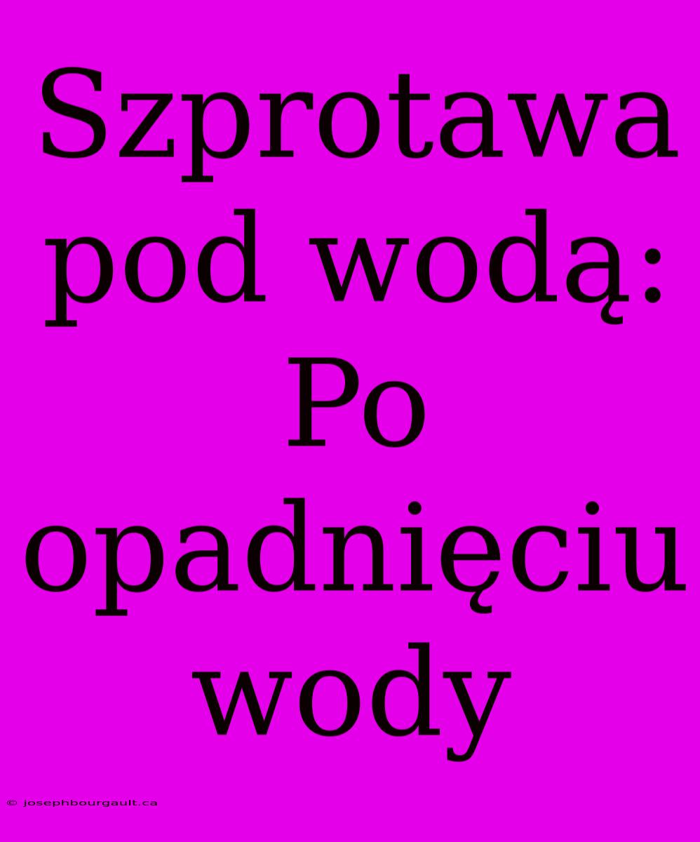 Szprotawa Pod Wodą: Po Opadnięciu Wody