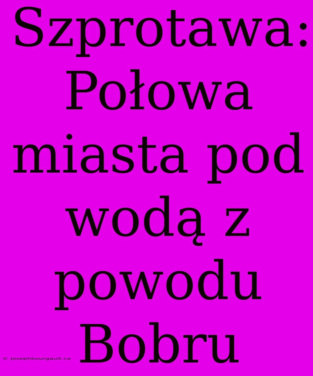 Szprotawa: Połowa Miasta Pod Wodą Z Powodu Bobru