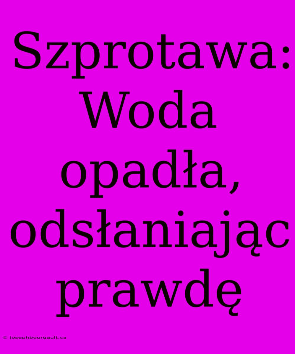 Szprotawa: Woda Opadła, Odsłaniając Prawdę