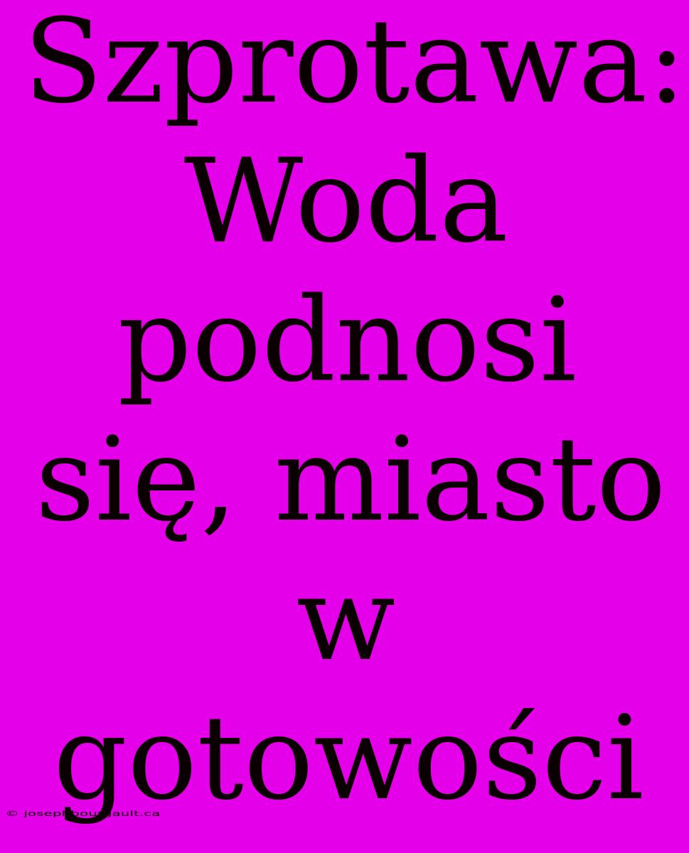 Szprotawa: Woda Podnosi Się, Miasto W Gotowości