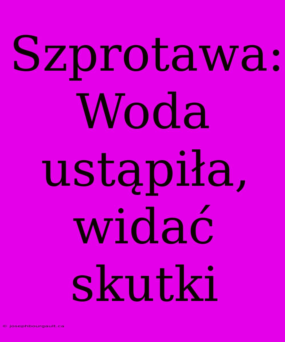 Szprotawa: Woda Ustąpiła, Widać Skutki