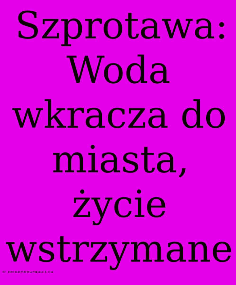 Szprotawa: Woda Wkracza Do Miasta, Życie Wstrzymane