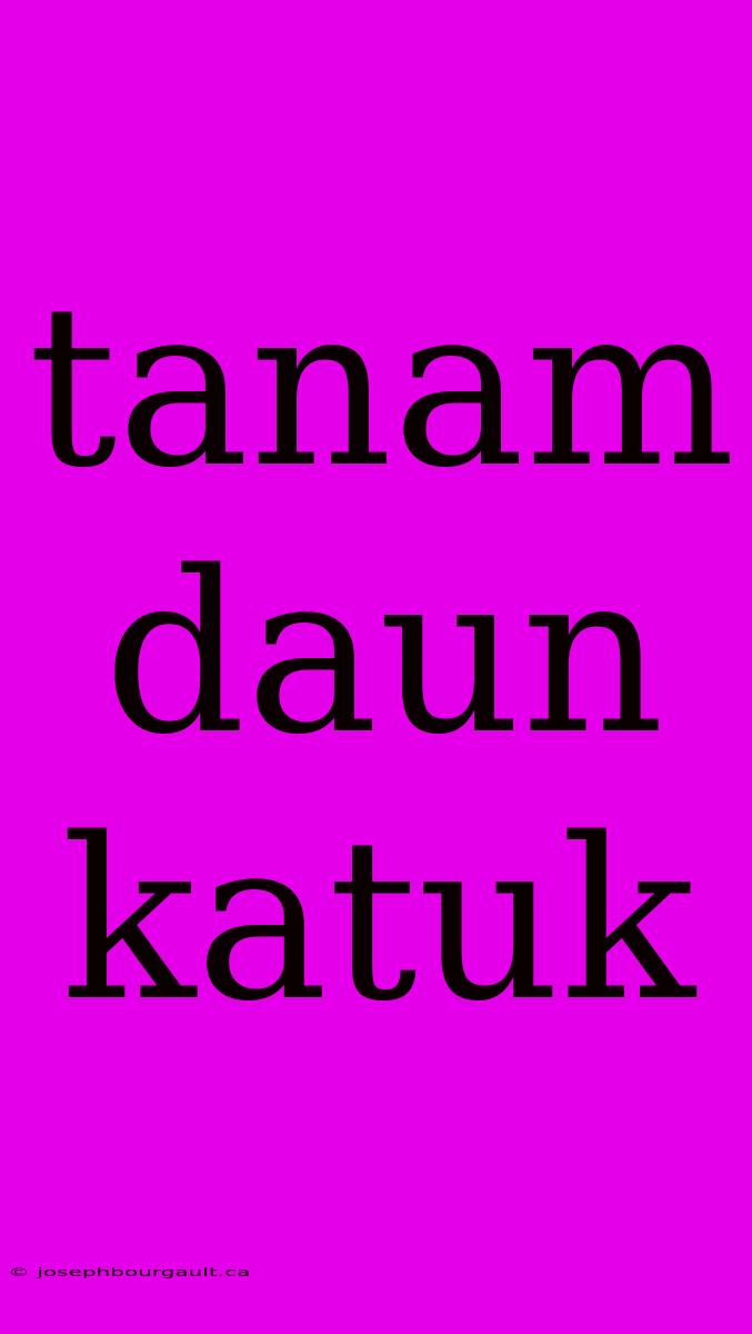 Tanam Daun Katuk