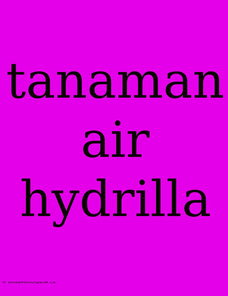 Tanaman Air Hydrilla