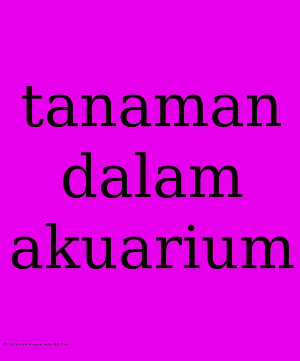 Tanaman Dalam Akuarium