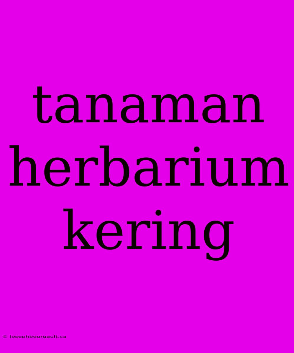 Tanaman Herbarium Kering