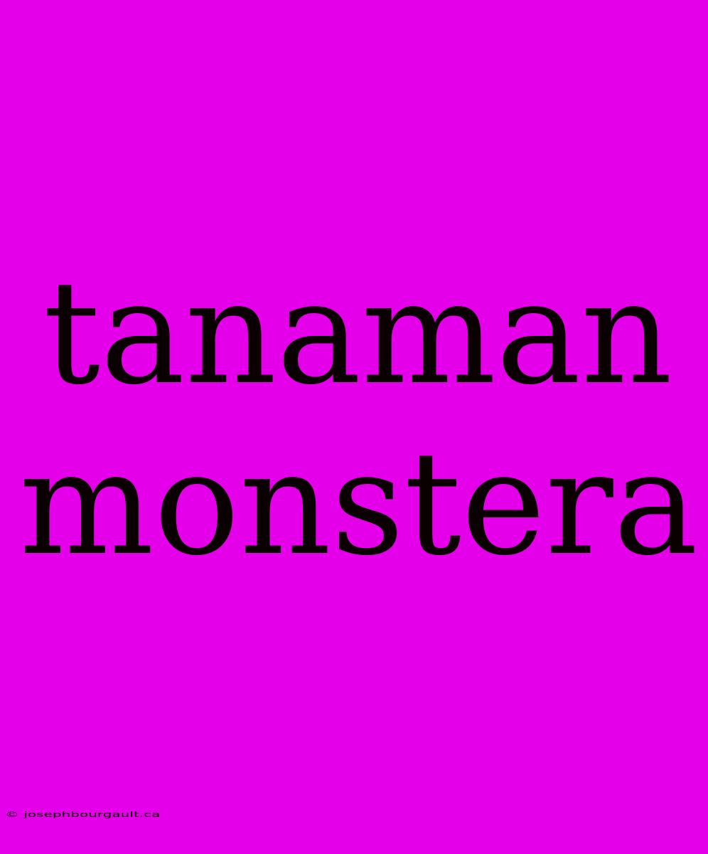 Tanaman Monstera